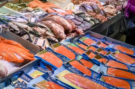 Fisch ohne Gift Einkaufstipps